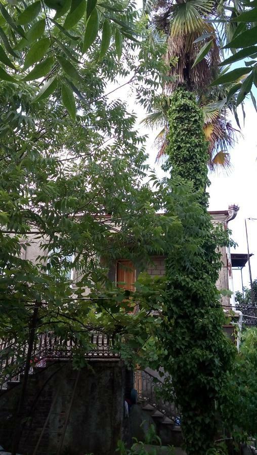 Hotel Elco Zugdidi Exterior foto