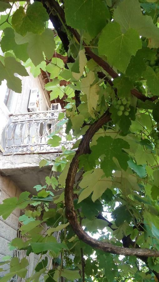Hotel Elco Zugdidi Exterior foto